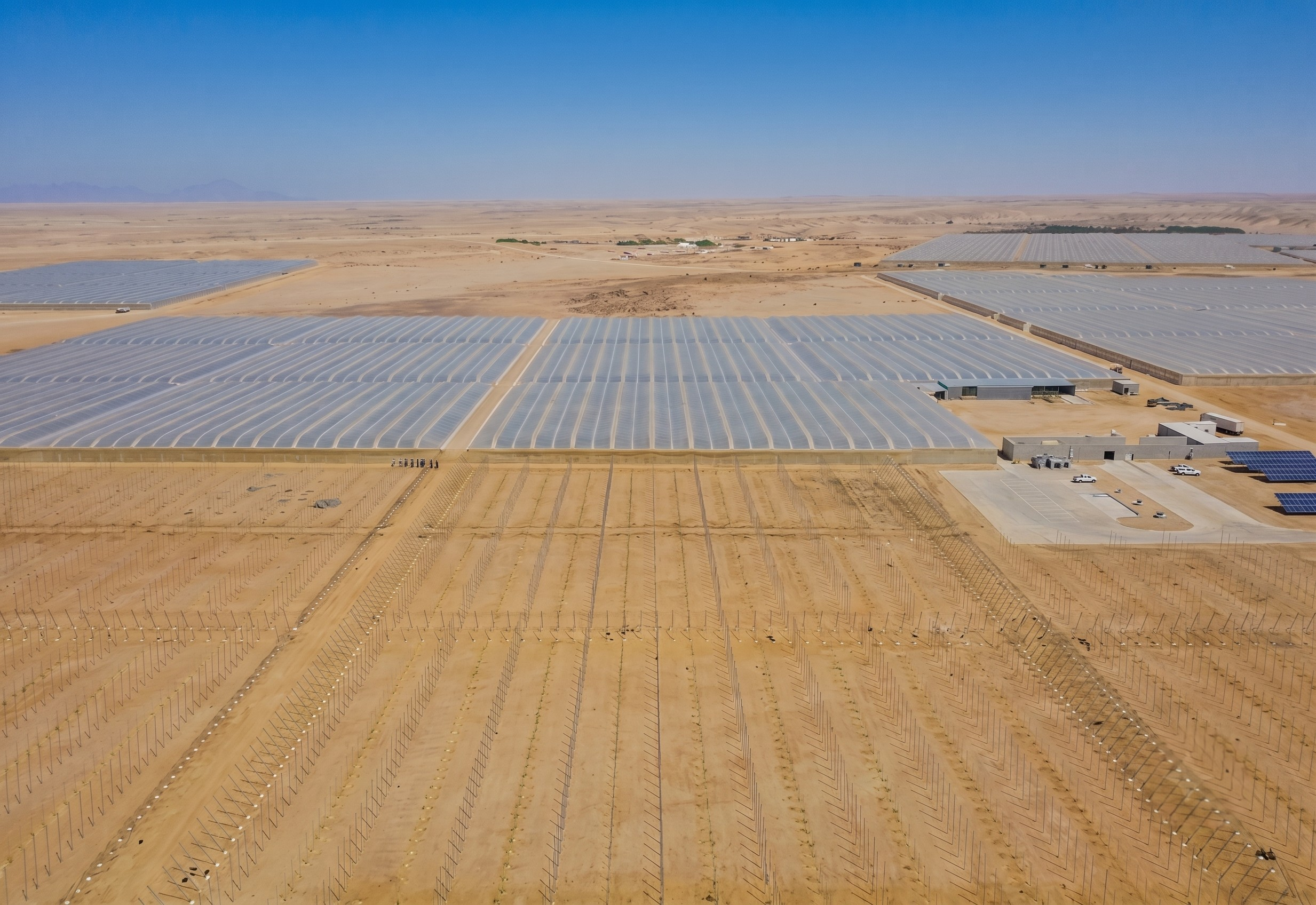 Serre multi-chapelles à Dakhla, Maroc | Elman Ajdir