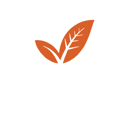 Elman Ajdir logo
