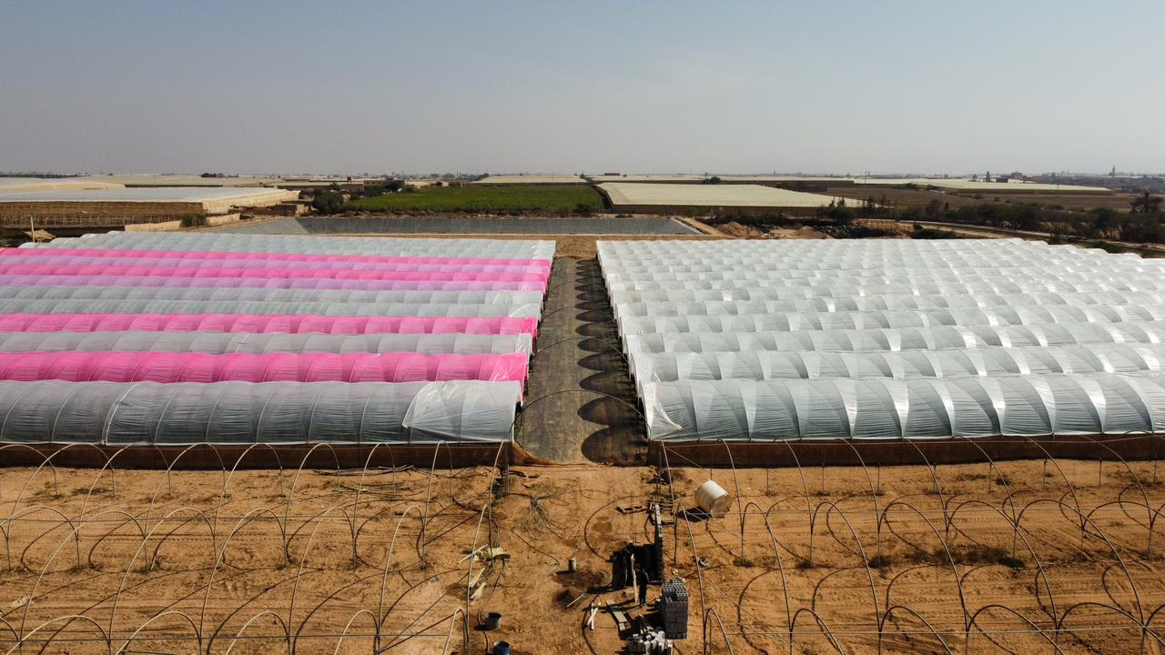 Geothermal greenhouse in Ait Melloul, Souss-Massa, Morocco