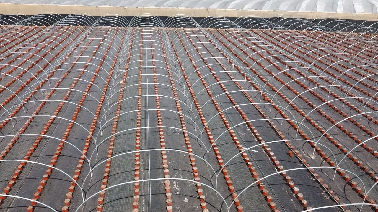 Double-layer tunnel greenhouse installed in Biougra, Souss-Massa, Morocco, by El Man Ajdir