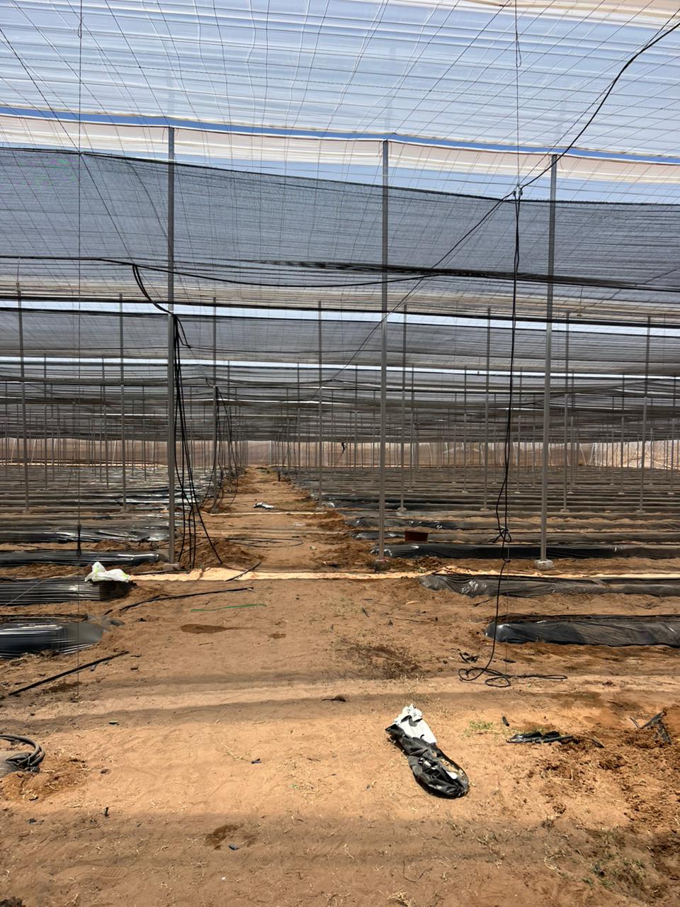 Canarian greenhouse in Marrakech, Morocco | El Man Ajdir