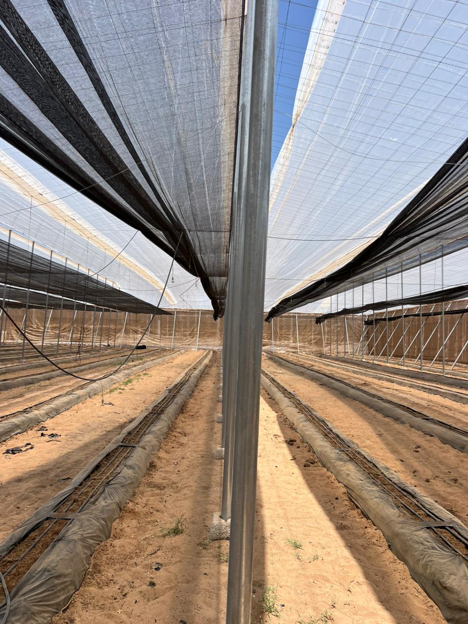 Industrial multi-span greenhouse in Inezgane, Souss-Massa | El Man Ajdir